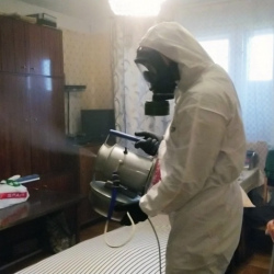 Дезинфекция от клопов в Глазове