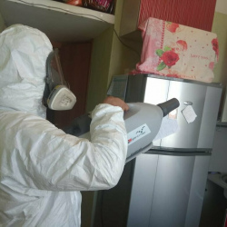 Уничтожение насекомых в квартире. Глазов